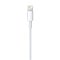 Apple Apple Lightning auf USB Kabel - 2M - Blister Pack