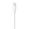 Apple Apple Lightning to USB Cable - 2M - Blister Pack