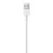 Apple Apple Lightning auf USB Kabel - 2M - Blister Pack
