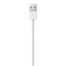 Apple Apple Lightning to USB Cable - 2M - Blister Pack