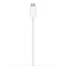 Apple Apple MagSafe Charger | 1M | Blister Packaging
