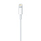 Apple Apple Lightning to USB Cable - 1M - Blister Packaging