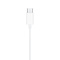 Apple Apple EarPods mit USB-C Connector - Bulk