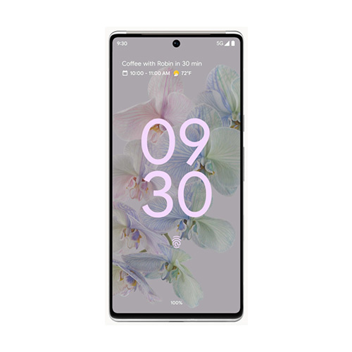 Google Pixel 6 Pro