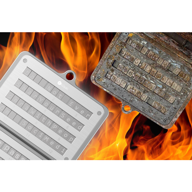 Ellipal Seed Phrase Steel