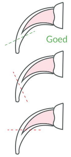 Info Page Cat Nail Clipping Purrfect Design 