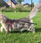 Tre Ponti Liberta cat harness