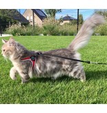 Tre ponti cat harness Clearance