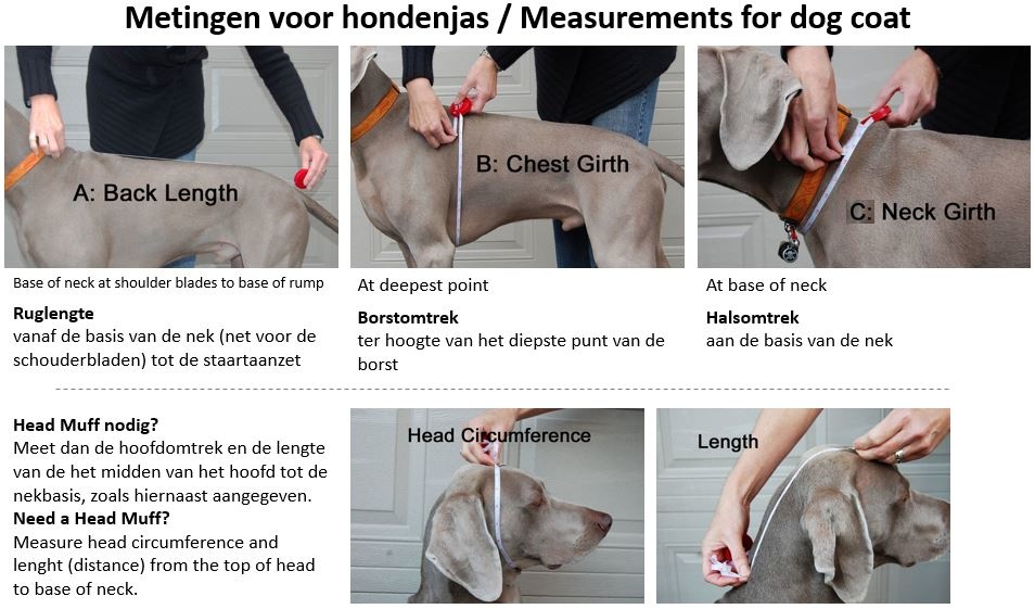 niemand incompleet Fauteuil How to measure your dog - PurrFect Design