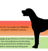 INFO: Wel of geen hoge voerbak voor grote honden? En wat verstaan we onder 'hoge voerbak'?