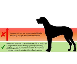 Info High Feeders For Large Dogs Yes Or No Purrfect Design