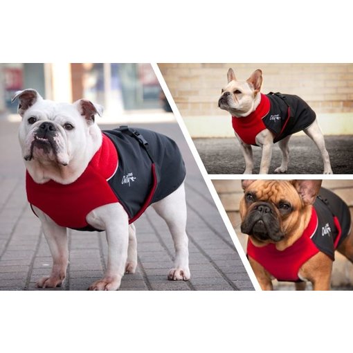 Chilly Dogs GREAT WHITE NORTH WINTER COAT- Bulls / BROAD and BURLY