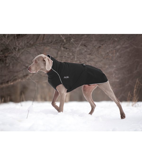 chilly dogs rain slicker