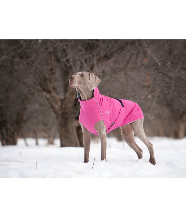 Chilly Dogs - Harbour Slicker (Raincoat) – Queenie's Pets®