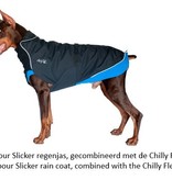 chilly dogs rain slicker