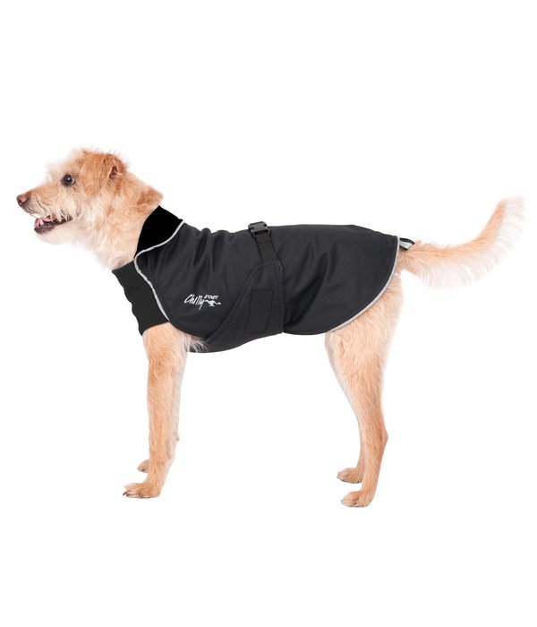 rain dog coats