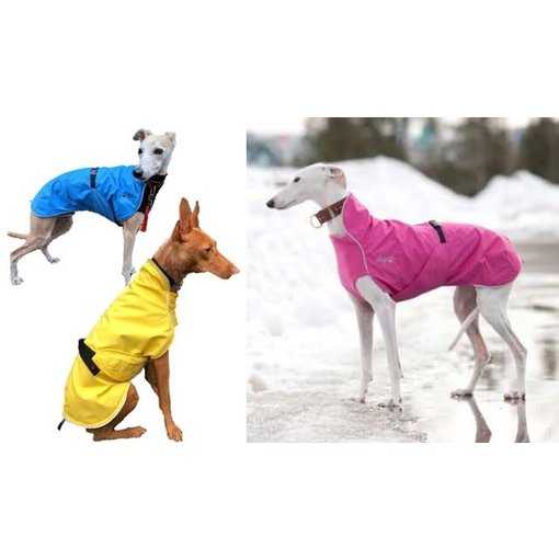 Chilly Dogs Harbour Slicker - Greyhound / Long & Lean rassen