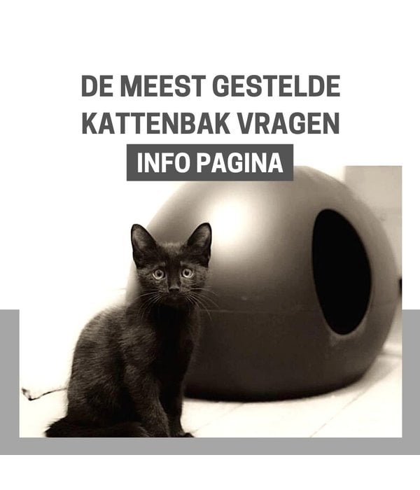 TIP: We hebben de 4 meest gestelde kattenbak-vragen voor u beantwoord!