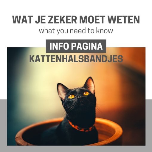 Info Pagina: Halsbandje voor katten...