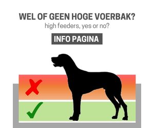 plakboek Spuug uit optocht Wel of geen hoge voerbak voor grote honden? Wat betekent 'hoge bak'? -  PurrFect Design