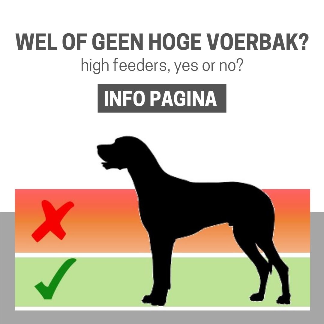 plakboek Spuug uit optocht Wel of geen hoge voerbak voor grote honden? Wat betekent 'hoge bak'? -  PurrFect Design