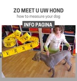 TIPS: How to measure your dog