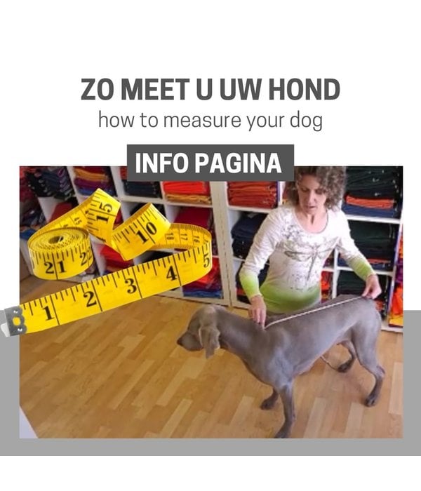 how do you tell what size your dog is