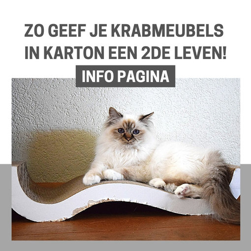 INFO: Zo geef je krabmeubels in karton een 2de of 3de leven!