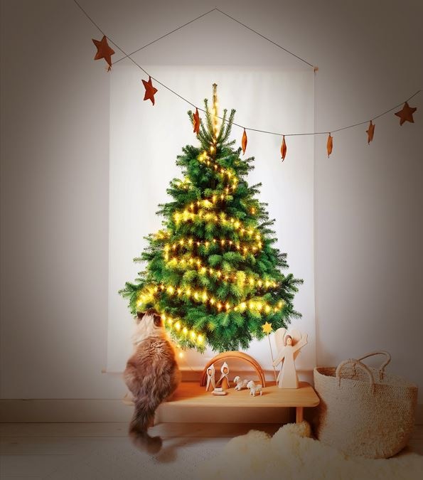 Kerstbomen... sommigen zien er niet naar om... anderen kunnen er niet van wegblijven!
