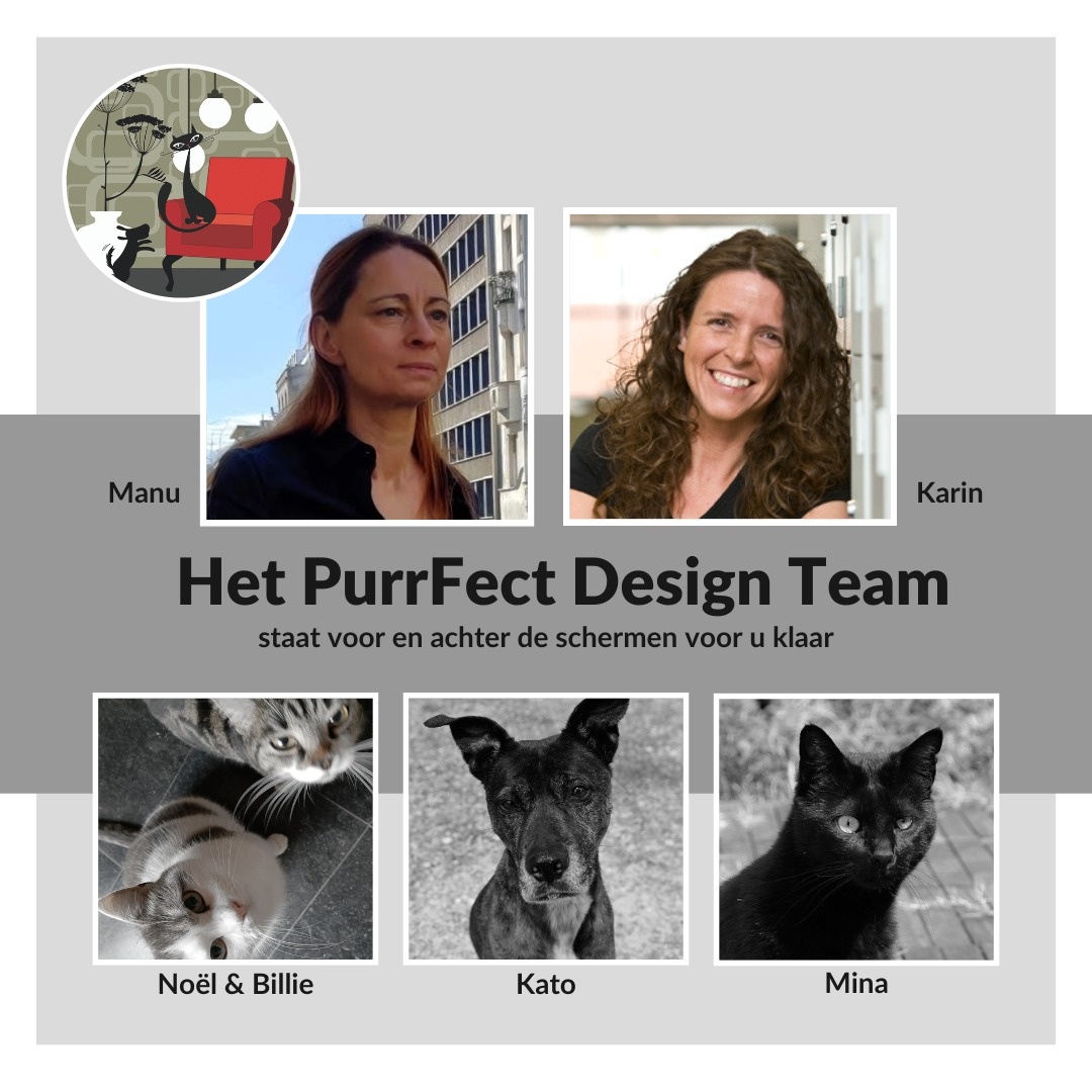 PurrFect Design Team