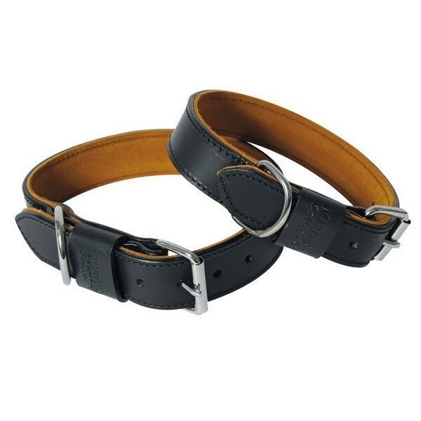 Black & Tan Collar