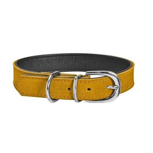 Aspen Collar