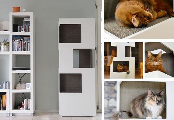 cat tree for one cat