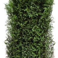 Quick hedge QuickHedge Taxus baccata - Venijnboom 100x200 cm.