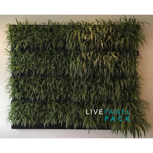Mobilane LivePanel Pack: jouw eigen alles-in-1 groene wand systeem