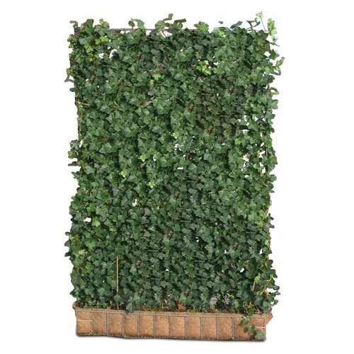 Mobilane Hedera Helix Woerner 120x200 cm | Kantenklaarhagen.nl
