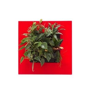 Mobilane LivePicture GO verticale plantenbak - rood