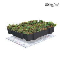 Sempergreen Sedumtray Cassette Click 'n Go (45x49,5 cm)