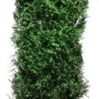 Quick hedge QuickHedge Thuja plicata Martin - Levensboom Martin 100x180 cm.