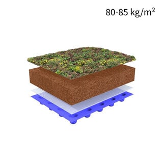 Sempergreen Sempergreen sedummatten compleet pakket per m²