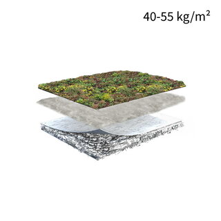 Sempergreen Sempergreen sedummatten compleet pakket lichtgewicht oplossing per m²