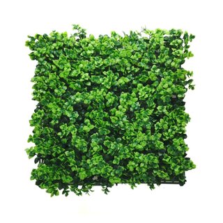 Green-lab Kunsthaag Dikkemanskruid (Pachysandra) 50x50 cm