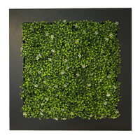 Green-lab Planten schilderij Jasmine (kunsthaag) | Gratis levering