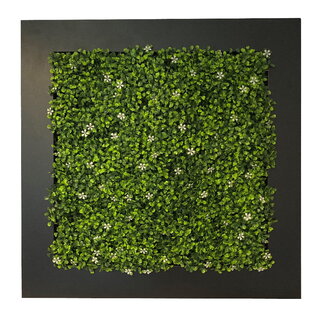 Green-lab Planten schilderij Jasmine (kunsthaag) 67x67 cm