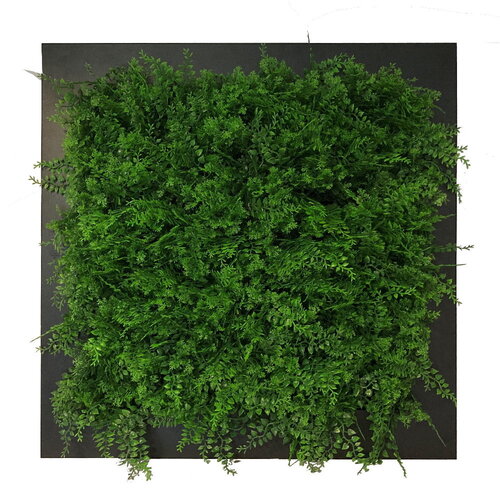 Green-lab Planten schilderij varen (kunsthaag) | Gratis levering