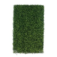 Green-lab Kunsthaag Buxus 120x180 cm