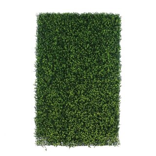 Green-lab Kunsthaag Buxus 120x180 cm