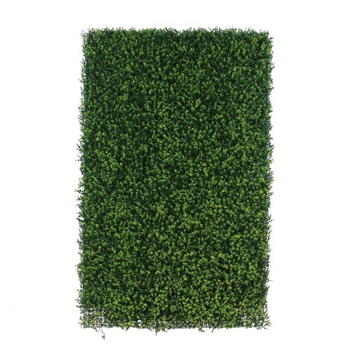 Green-lab Kunsthaag Buxus 120x180 cm