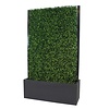 Kunsthaag Buxus in polyester bak