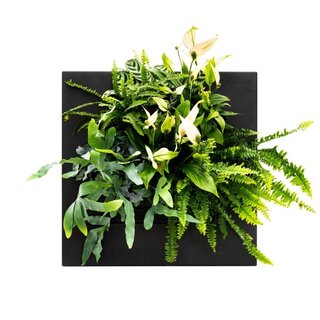 Mobilane LivePicture GO verticale plantenbak - Bamboe Zwart